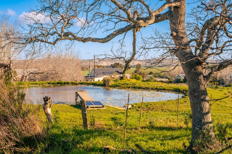 Commercial Property for Sale in Baardskeerdersbos Western Cape